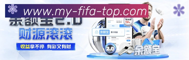 未来规划